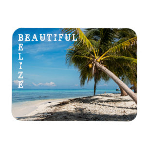 Ímã Laughing Bird Caye - Belize