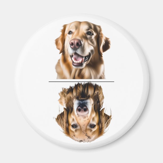 Imã Lava-Louças Cachorro Dourado Encantador (Frente)