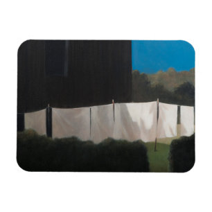 Ímã Lavagem de Norma em 2012