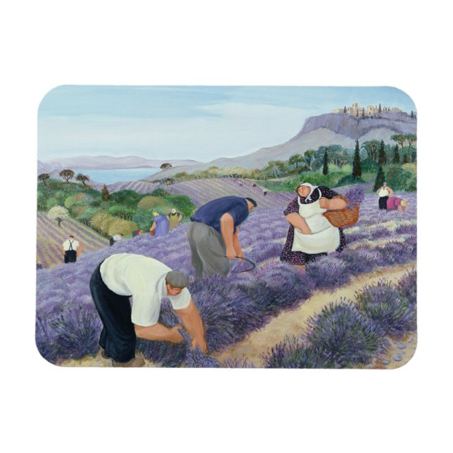 Ímã Lavanda (Horizontal)