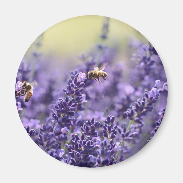 Imã Lavanda de Primavera com Abelhas Floral Roxa (Frente)