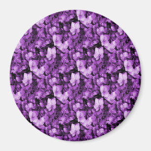 Imã Lavanda Delight... .