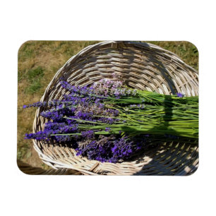 Ímã Lavanda em uma cesta