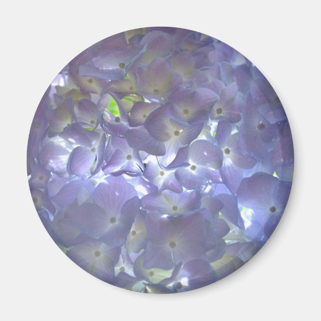Imã Lavanda Hydrangeas (Frente)