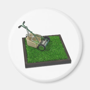 Imã LawnmowerOnTheGrass100711