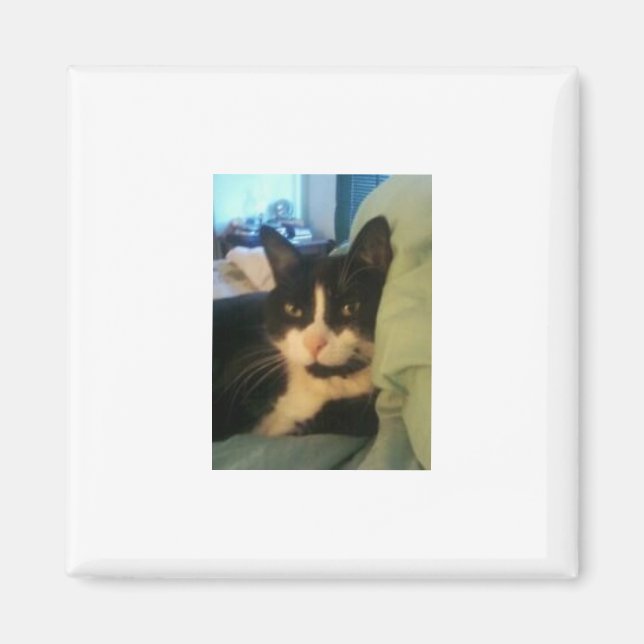 Imã Lazey Cat Magnet (Frente)
