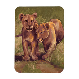 Ímã Leão Cubs