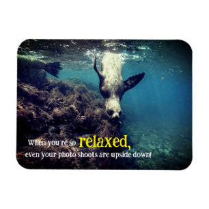 Ímã Leão de mar engraçado submarino