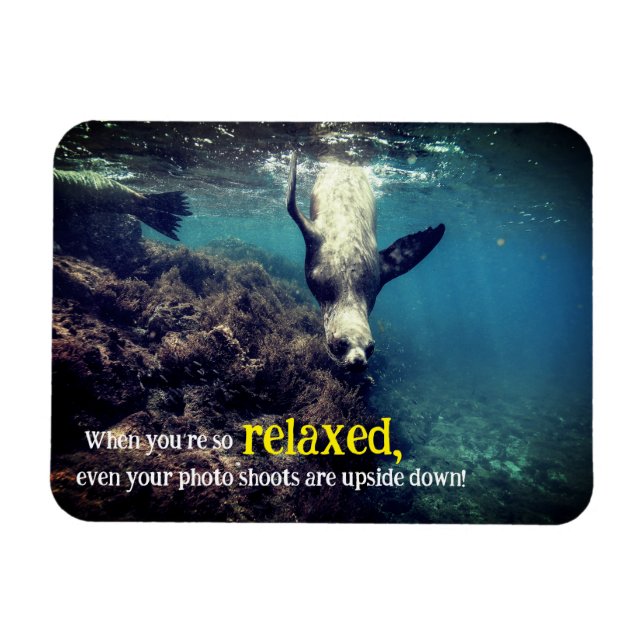 Ímã Leão de mar engraçado submarino (Horizontal)