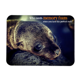 Ímã Leão do Mar de Bebê