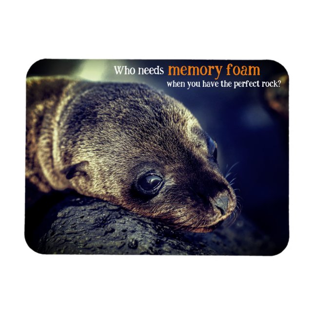 Ímã Leão do Mar de Bebê (Horizontal)