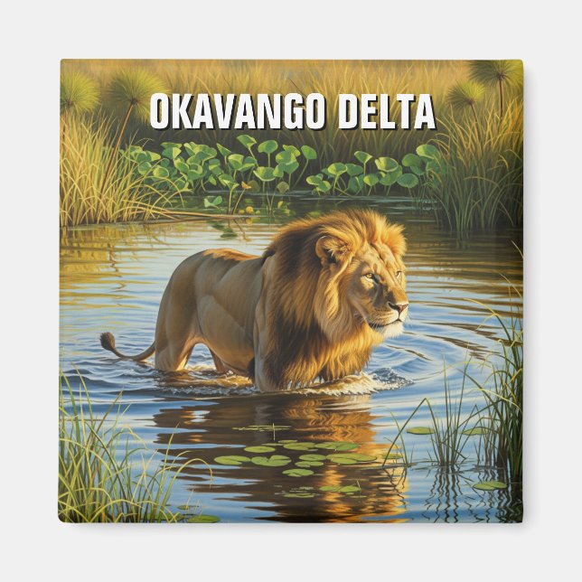 Imã Leão no Okavango Delta Botswana (Frente)