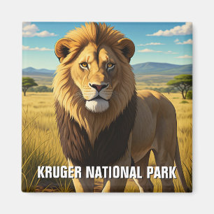 Imã Leão no Parque Nacional de Kruger na África do Sul