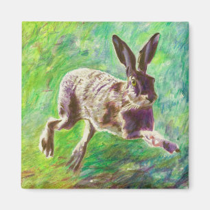 Imã Lebre alegre 2011