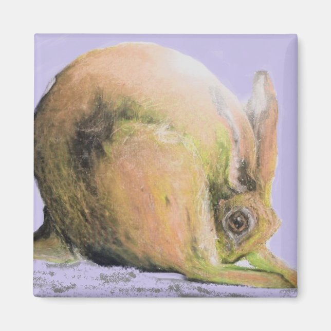 Imã lebre amarela (Frente)