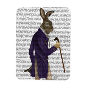 Ímã Lebre em Casaco Roxo