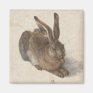 Imã Lebre nova por Albrecht Durer