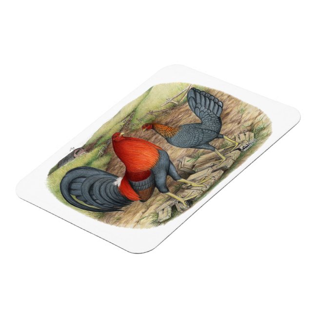 Ímã Leds Azuis do Jogo Americano (Left Side)