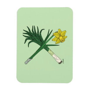 Ímã Leek e Daffodil cruzados