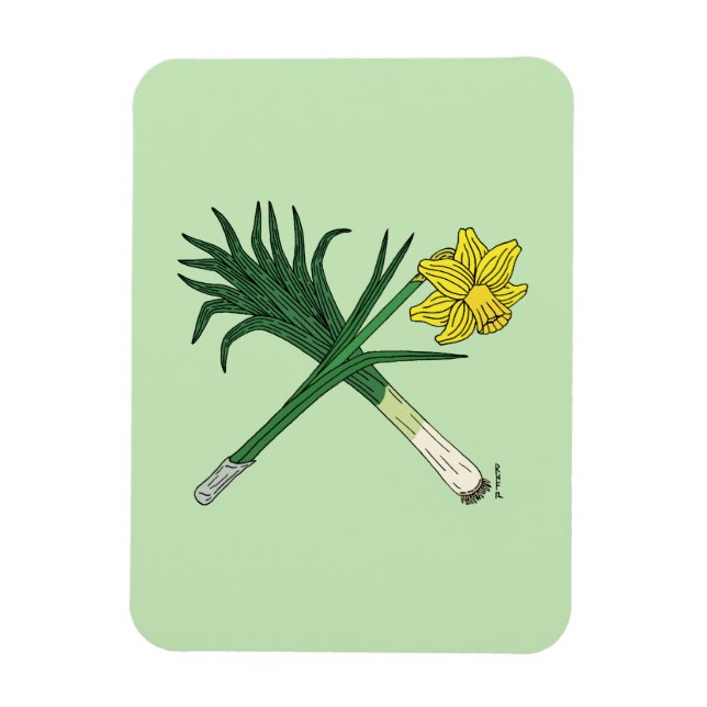 Ímã Leek e Daffodil cruzados (Vertical)