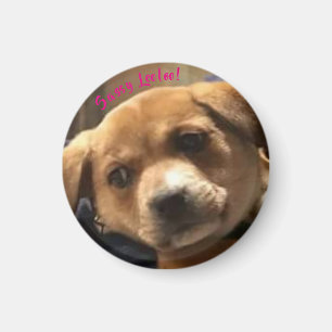 Imã Leeloo Sassy pequeno, redondo! Ímã