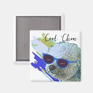 Imã Legal 'Chon o Bichon