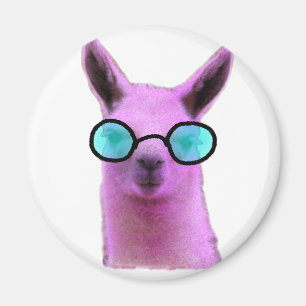 Imã Legal Llama Rosa!