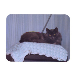 Ímã Legal Nebelung