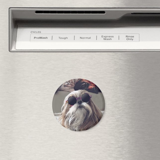 Imã Legal Shih Tzu longos óculos de sol (In Situ (Dishwasher))