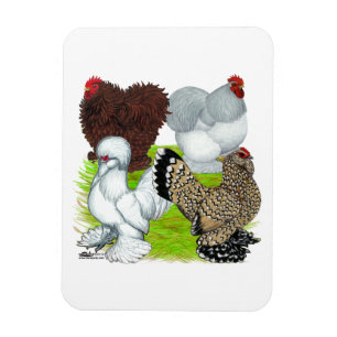 Ímã Legenda de Bantams Feather