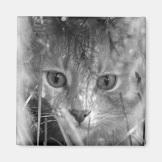 Imã Legenda Selva B&W (Frente)