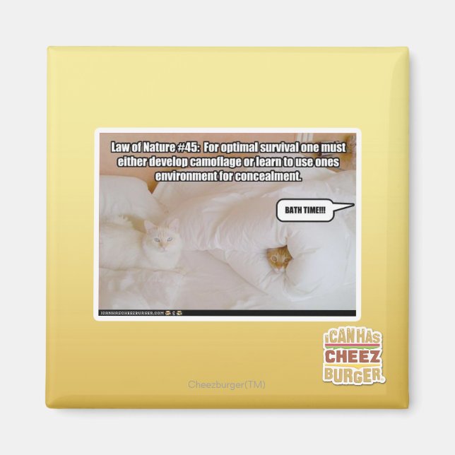 Imã Lei da Natureza #45 (Frente)