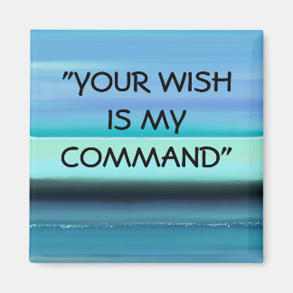 IMÃ "LEI DE ATRAÇÃO"