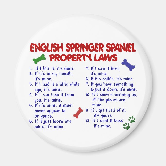 Imã Lei de Propriedade de SPRINGER SPANIEL em INGLÊS 2 (Frente)