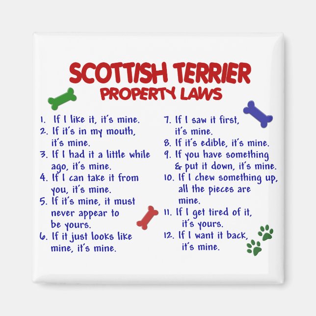 Imã Lei de Propriedade do TERRIER SCOTTISH 2 (Frente)