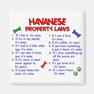 Imã Leis 2 da propriedade de HAVANESE