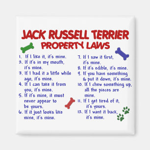 Imã Leis 2 da propriedade de RUSSELL TERRIER do JAQUE