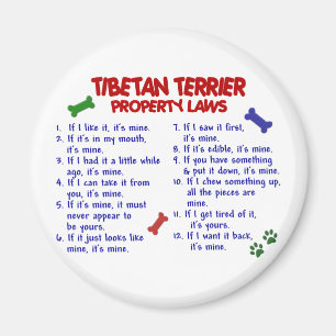 Imã Leis 2 da propriedade de TERRIER TIBETANO
