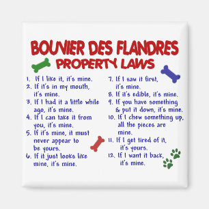 Imã Leis 2 da propriedade do DES FLANDRES de BOUVIER