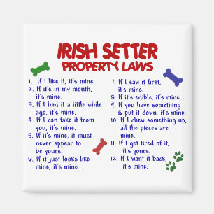 Imã Leis 2 da propriedade do SETTER IRLANDÊS