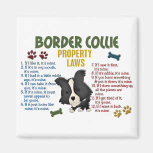 Imã Leis 4 da propriedade de border collie