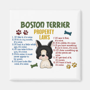 Imã Leis 4 da propriedade de Boston Terrier