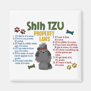 Imã Leis 4 da propriedade de Shih Tzu