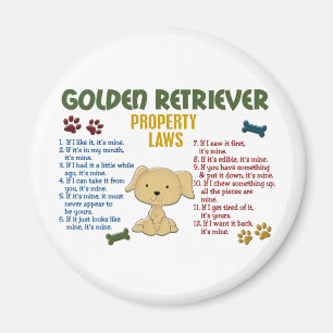Imã Leis 4 da propriedade do golden retriever