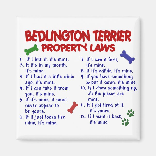 Imã Leis de propriedade do TERRIER BEDLINGTON 2 (Frente)
