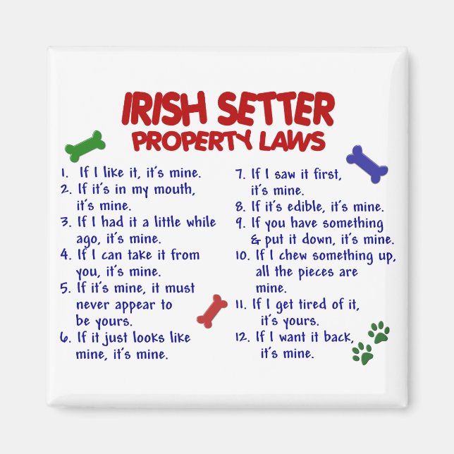 Imã Leis de propriedades do IRISH SETTER 2 (Frente)