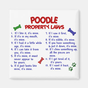 Imã Leis de Propriedades do POODLE 2