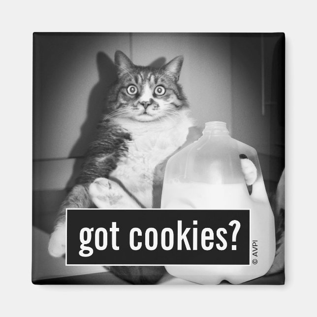 Imã Leite De Bebendo De Gato De Jug (Frente)