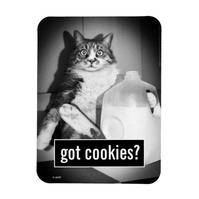 Ímã Leite De Bebendo De Gato De Jug (Vertical)