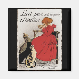 Imã Leite do teste para os gatinhos